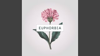 Euphorbia [upl. by Alyakcm]