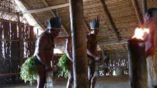 Indiens damazonie au Brésil danse traditionnelle [upl. by Annaili614]