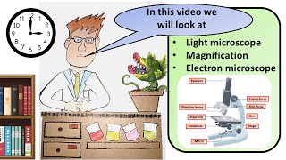 GCSE Biology Microscopy Revision [upl. by Russia]