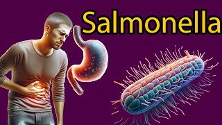 Salmonella Explained Symptoms Treatment and Prevention Tips [upl. by Shanley]