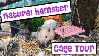 Natural Hamster Cage Tour  IKEA Detolf Woodland Theme [upl. by Nycila175]