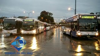 Transport for NSW Vlog No673 Gosford Buses at Night part 2 [upl. by Neau670]