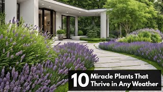 Top 10 Miracle Plants That Thrive in Any Weather [upl. by Mordy869]