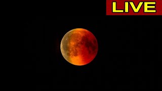 Mondfinsternis in Deutschland  Livestream 🔭🌒 [upl. by Greene]