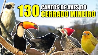 130 Cantos de aves do Cerrado Mineiro Gravações originais [upl. by Ahsiakal]