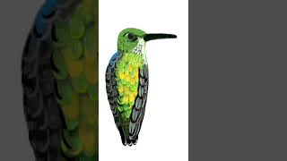 PENUP Live Drawing 01  How To Draw Hummingbird [upl. by Yevette946]