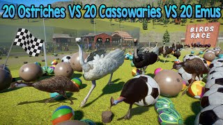 20 Ostriches VS 20 Cassowaries VS 20 Emus Animals Birds Race in Planet Zoo  Animal Animation [upl. by Novyart]