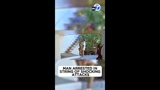 Man accused of punching magician at childs party in Pacific Palisades [upl. by Schwartz222]