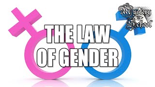 Mystery School Lesson 4 The Law of Gender [upl. by Nnaeinahpets]