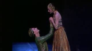 Nikiya amp Solor 1st Act PDD  La Bayadere  POB Guerin  Hilaire [upl. by Oynotna]