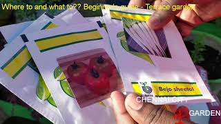 Where to get the gardening DIY kit in chennaiWhat is in the DIY kit Beginners kit [upl. by Harlene]