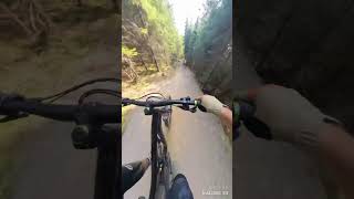 TrailPark Klínovec  BARON🤩💪enduromtb mtb downhill [upl. by Nesaj]