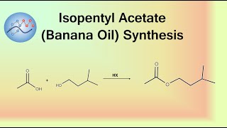 Isopentyl Acetate Banana Oil Synthesis Mechanism  Organic Chemistry [upl. by Owen]