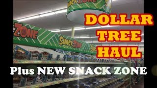 DOLLAR TREE Haul  NEW Zone amp Caboodles [upl. by Aillicec]