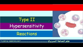 Lecture 5 Type II Hypersensitivity reactions [upl. by Ayifas125]