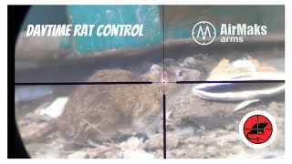 EPIC DAY TIME RAT CONTROL  THE BEST ON YOUTUBE 7 [upl. by Yenolem]