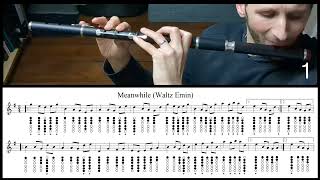 Tuto Irish Flute  Meanwhile Waltz Emin [upl. by Dorie]