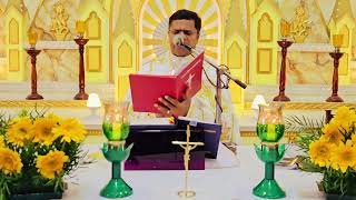 Sunday Holy Mass November 12 I 530 AM I Malayalam I Syro Malabar I Fr Bineesh Augustine [upl. by Tdnerb]