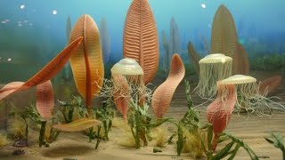 precambrian science evolation cellevo precambrian viral prehistoric [upl. by Aryahay]