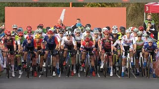 Cyclocross Maasmechelen Men Elite 50fps 29 Oct 2023 [upl. by Neeli]