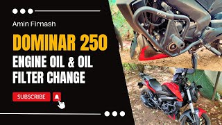 Dominar 250 Engine Oil Change at Home  Motul 10W50  Tamil [upl. by Ashlen]