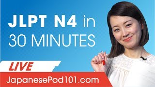 JLPT Level N4 How to Prepare Your Japanese Exam [upl. by Gustie]