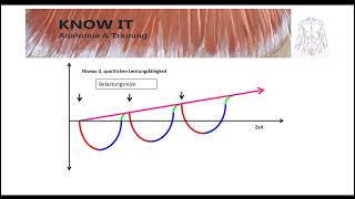 Trainingsprinzipien [upl. by Jerrine]