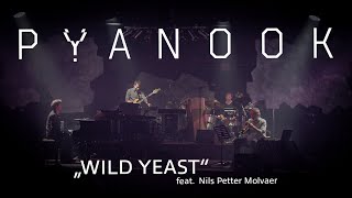 WILD YEAST  Nils Petter Molvaer joins PYANOOK at Ulmer Zelt Festival 2023 [upl. by Ttenaj]