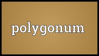 Polygonum Meaning [upl. by Ivek]