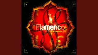 Redefined Flamenco [upl. by Loar761]