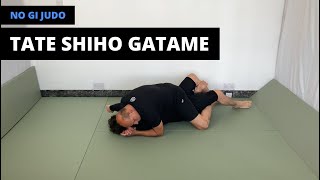 No Gi Judo  縦四方固  Tate Shiho Gatame vertical four quarters hold  full mount [upl. by Uriisa]