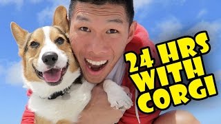 MY CORGI QUALITY TIME  SPENDING 24 HRS TOGETHER  Life After College Ep 498 [upl. by Elpmet638]