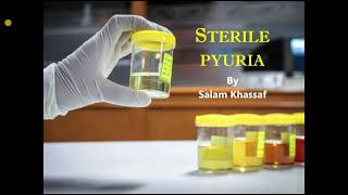 Sterile pyuria [upl. by Evania]