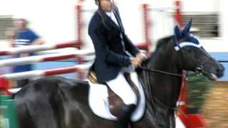 Bad horse Fall at the OKC GO Grand prix [upl. by Shanahan446]