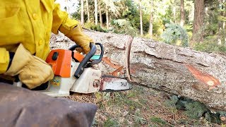 This Technique Could Save Your Chainsaw [upl. by Nigrom]