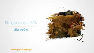 Pielęgnacja psów Sieradz Psi Fryzjer [upl. by Amikan505]