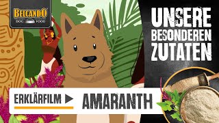 BELCANDO Hundefutter  Amaranth  Unsere besonderen Zutaten [upl. by Delija]