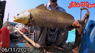 Catching Meagre Fish In Mangroves  Suwa Ka Shikar Mangroves Main  Part2 [upl. by Enelrak]