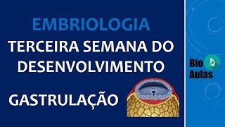 Gastrulação Ectoderma Mesoderma e Endoderma  Terceira Semana do Desenvolvimento Embriologia [upl. by Eeresid]