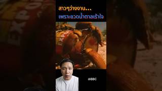 กิ๊งๆๆๆๆๆๆ 🤭🤪😝 สาระ ความรู้ wonderwhale animal [upl. by Nogas]