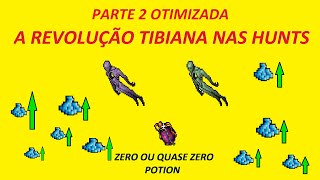 TIBIA PROFIT PARA MAGES SEM GASTAR MUITO PARTE 11 OTIMIZADA [upl. by Stockmon]