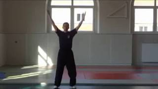 Qi Gong des 8 pièces de brocart Ba Duan Jin  八段锦 [upl. by Naam]