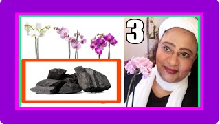 TUTORIAL 💖 Las Orquideas en Carbón Necesitan Cambios 🌱💖 Parte 3 [upl. by Kuhn]