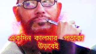 তোমাদের নাকের ডগাদিয়ে কালেমার পতাকা একদিন উড়বেই উড়বে allama delwar hussain saidi [upl. by Shanon]