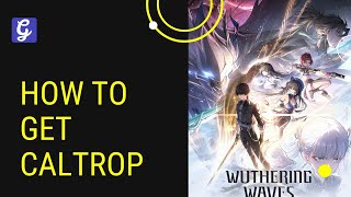 How to Get Caltrop  Wuthering Waves [upl. by Nolram]