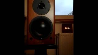 Dynaudio Focus 110 [upl. by Ringler]