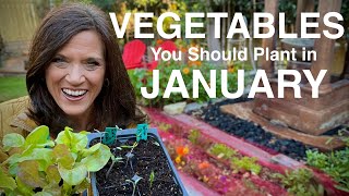 Vegetables You Should Plant NOW In January [upl. by Dylane]