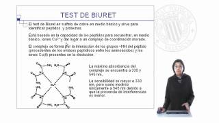 Aminoácidos y proteínas identificación cualitativa   UPV [upl. by Tegdirb870]