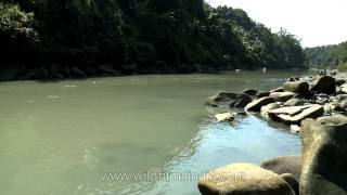 Doyang River True essence of Nagaland [upl. by Cloris]