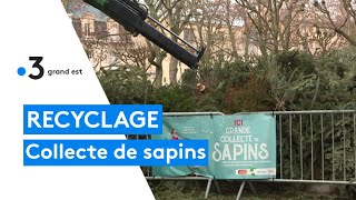 Des points de collecte pour le recyclage des sapins [upl. by Gerdy]